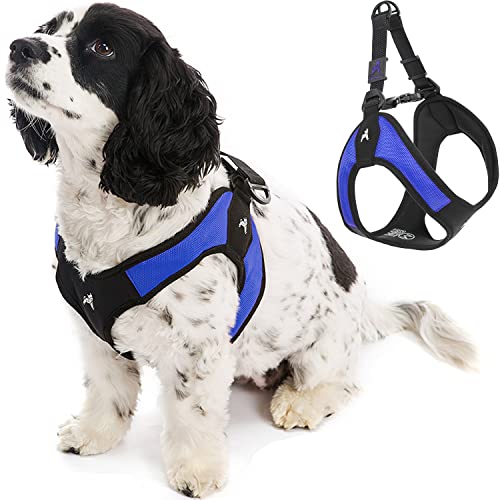 Gooby - Escape Free Easy Fit Hundegeschirr, kleines Hundegeschirr für Hunde, die ihrem Geschirr gerne entfliehen, blau, groß Gooby - Escape Free Easy Fit Hundegeschirr, kleines Hundegeschirr für Hunde, die ihrem Geschirr gerne entfliehen, blau, groß von GOOBY