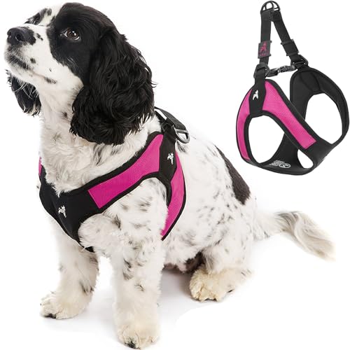 Gooby - Escape Free Easy Fit Harness, Small Dog Step-In Harness for Dogs That Like to Escape Their Harness, Hot Pink, Large von GOOBY