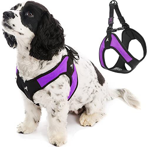 Gooby - Escape Free Easy Fit Harness, Small Dog Step-In Harness for Dogs That Like to Escape Their Harness, Purple, Large von GOOBY