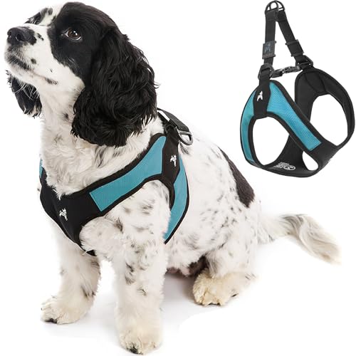 Gooby - Escape Free Easy Fit Harness, Small Dog Step-In Harness for Dogs That Like to Escape Their Harness, Turquoise, Large von GOOBY