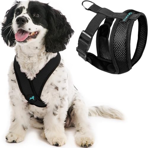 Gooby - Comfort X Head-In Harness, Choke Free Small Dog Harness with Micro Suede Trimming and Patented X Frame, Black, Medium von GOOBY