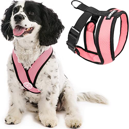 Gooby Comfort X Head In Harness – Rosa, kleines Geschirr, patentierter erstickungsfreier X-Rahmen – perfekt für unterwegs, Geschirr für mittelgroße Hunde, kein Ziehen oder kleine Hunde, für drinnen von GOOBY