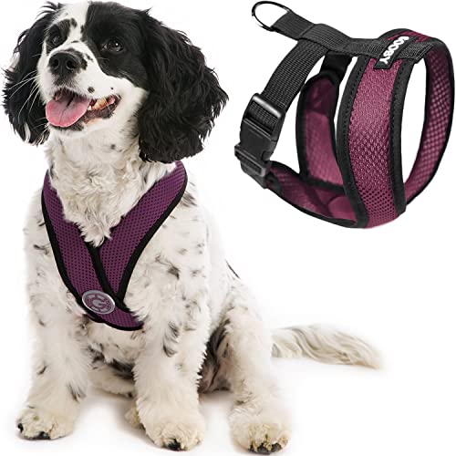 Gooby - Comfort X Head-In Harness, Choke Free Small Dog Harness with Micro Suede Trimming and Patented X Frame, Purple, Large Gooby - Comfort X Head-In Harness, Choke Free Small Dog Harness with Micro Suede Trimming and Patented X Frame, Purple, Large von GOOBY