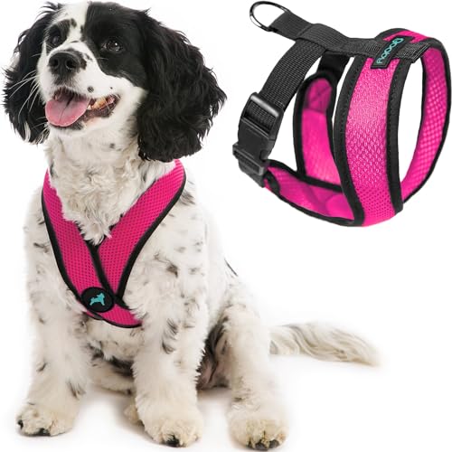 Gooby Comfort X Head In Harness - Flamingo Pink, Small - No Pull Kleines Hundegeschirr, Patentierter Würgefreier X-Rahmen Gooby Comfort X Head In Harness - Flamingo Pink, Small - No Pull Kleines Hundegeschirr, Patentierter Würgefreier X-Rahmen von GOOBY