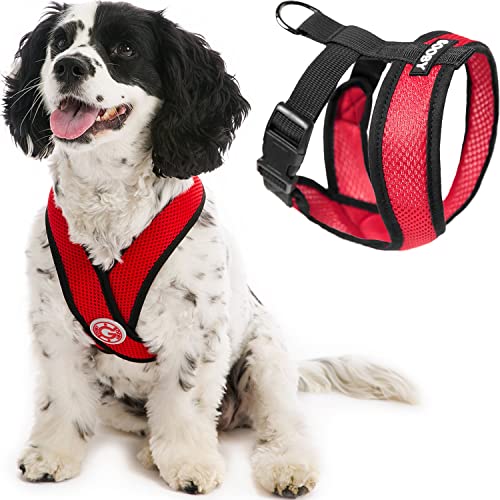 Gooby Comfort X Hundegeschirr zum Ziehen über den Kopf, komfortabel, kein Ziehen, für kleine bis mittelgroße Hunde, Würgeschutz, X-Design, für unterwegs, für Innen- und Außenbereich, Größe L, Rot Gooby Comfort X Hundegeschirr zum Ziehen über den Kopf, komfortabel, kein Ziehen, für kleine bis mittelgroße Hunde, Würgeschutz, X-Design, für unterwegs, für Innen- und Außenbereich, Größe L, Rot von GOOBY