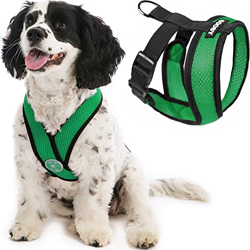 Gooby Comfort X Head in Harness - Hunter Green, Small - No Pull Small Dog Harness Patentierter Würgefreier X Rahmen von GOOBY
