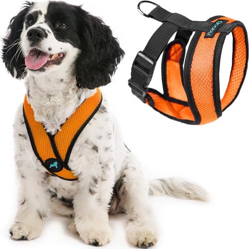 Gooby Comfort X Head in Harness,Orange, X-Large,No Pull Small Dog Harness,Patentierter Würgefreier X Frame,On The Go Hundegeschirr für mittelgroße Hunde No Pull, Kleine Hunde für Innen und Außen Gooby Comfort X Head in Harness,Orange, X-Large,No Pull Small Dog Harness,Patentierter Würgefreier X Frame,On The Go Hundegeschirr für mittelgroße Hunde No Pull, Kleine Hunde für Innen und Außen von GOOBY