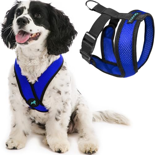 Gooby Comfort X Hundegeschirr zum Ziehen über den Kopf, kein Ziehen, erstickungsfreier X-Rahmen, für unterwegs, für mittelgroße, kleine Hunde, für Innen- und Außenbereich, Blau, Größe M Gooby Comfort X Hundegeschirr zum Ziehen über den Kopf, kein Ziehen, erstickungsfreier X-Rahmen, für unterwegs, für mittelgroße, kleine Hunde, für Innen- und Außenbereich, Blau, Größe M von GOOBY