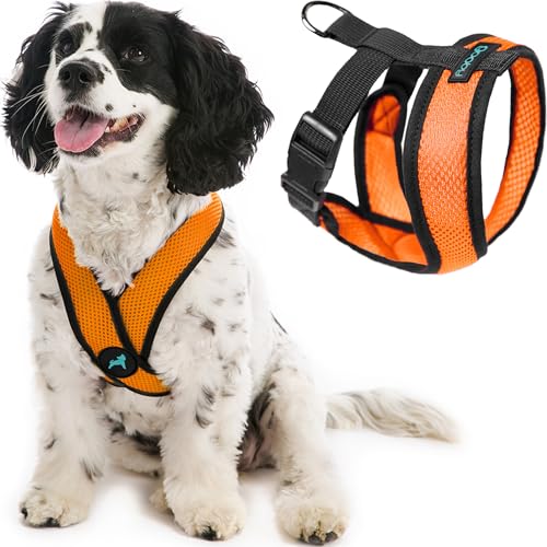 Gooby Comfort X Hundegeschirr zum Ziehen über den Kopf, komfortabel, kein Ziehen, für kleine bis mittelgroße Hunde, Würgeschutz, X-Design, für unterwegs, für Innen- und Außenbereich, Größe L, Orange von GOOBY