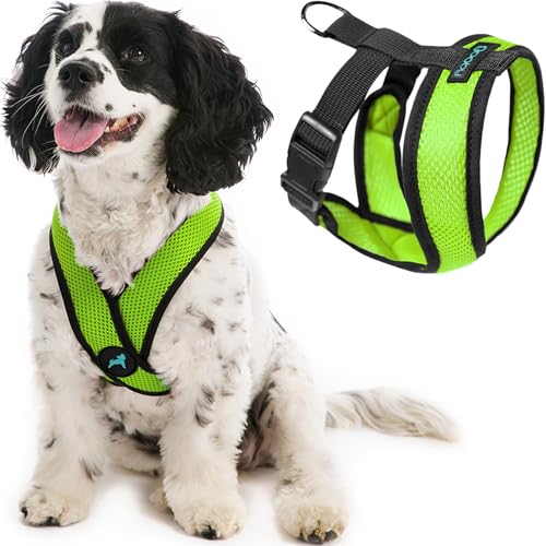 Gooby Comfort X Hundegeschirr zum Ziehen über den Kopf, komfortabel, kein Ziehen, für kleine bis mittelgroße Hunde, Würgeschutz, X-Design, für unterwegs, für Innen- und Außenbereich, Größe M, Grün von GOOBY