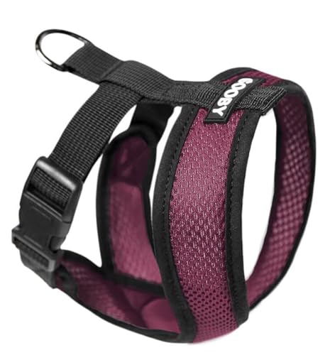 Gooby - Comfort X Kopf-in-Geschirr, Würgefreies kleines Hundegeschirr mit Mikro-Wildlederbesatz und patentiertem X-Rahmen, lila, X-Large Gooby - Comfort X Kopf-in-Geschirr, Würgefreies kleines Hundegeschirr mit Mikro-Wildlederbesatz und patentiertem X-Rahmen, lila, X-Large von GOOBY