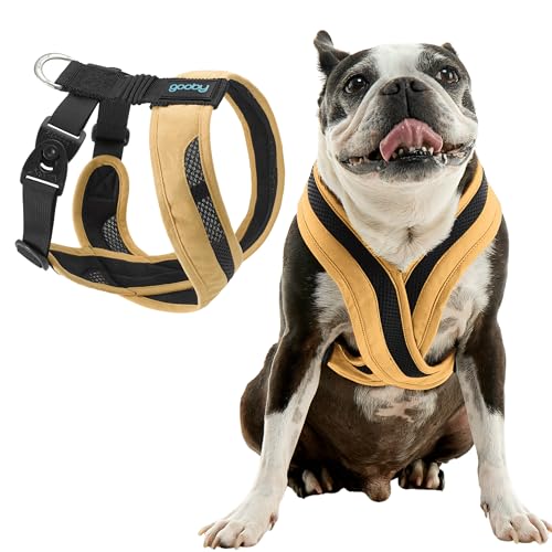 Gooby Comfort X One Hundegeschirr – Head-in-Hundegeschirr für kleine und mittelgroße Hunde, ausbruchfrei und erstickungsfrei, atmungsaktives Netzgewebe, stoßdämpfend, einfache Schnapp- und von GOOBY