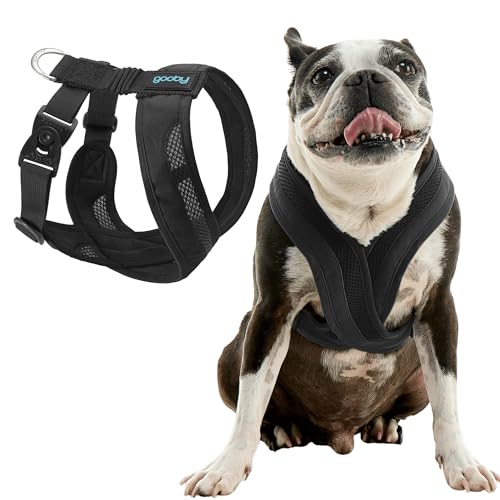 Gooby Comfort X One Hundegeschirr – Hundegeschirr für kleine und mittelgroße Hunde – ausbruchfrei und erstickungsfrei – atmungsaktives Netzgewebe, stoßdämpfend, einfache Schnapp- und Drehschnallen, Gooby Comfort X One Hundegeschirr – Hundegeschirr für kleine und mittelgroße Hunde – ausbruchfrei und erstickungsfrei – atmungsaktives Netzgewebe, stoßdämpfend, einfache Schnapp- und Drehschnallen, von GOOBY