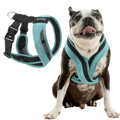 Gooby Comfort X One Hundegeschirr für kleine und mittelgroße Hunde, ausbruchfrei und erstickungsfrei, atmungsaktives Netzgewebe, stoßdämpfend, einfache Schnapp- und Drehschnallen, Seattle-Blau, Größe Gooby Comfort X One Hundegeschirr für kleine und mittelgroße Hunde, ausbruchfrei und erstickungsfrei, atmungsaktives Netzgewebe, stoßdämpfend, einfache Schnapp- und Drehschnallen, Seattle-Blau, Größe von GOOBY