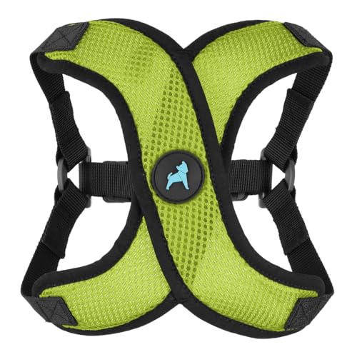 Gooby Comfort X Step in Lite Hundegeschirr – Erstickungsfrei, ausbruchfrei mit leichtem, atmungsaktivem Netzgewebe – Step-in-Hundegeschirr nur für kleine Hunde – Schnellverschluss-Schnalle von GOOBY