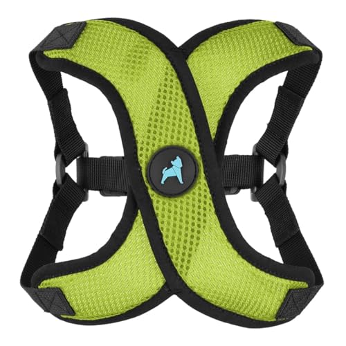Gooby Comfort X Step in Lite Hundegeschirr – Erstickungsfrei, ausbruchfrei mit leichtem, atmungsaktivem Netzgewebe – Step-in-Hundegeschirr nur für kleine Hunde – Schnellverschluss-Schnalle von GOOBY