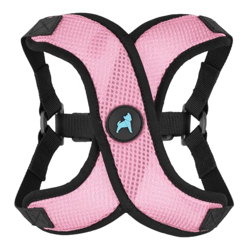 Gooby Comfort X Step in Lite Hundegeschirr – Erstickungsfrei, ausbruchfrei mit leichtem, atmungsaktivem Netzgewebe – Step-in-Hundegeschirr nur für kleine Hunde – Schnellverschluss-Schnalle Gooby Comfort X Step in Lite Hundegeschirr – Erstickungsfrei, ausbruchfrei mit leichtem, atmungsaktivem Netzgewebe – Step-in-Hundegeschirr nur für kleine Hunde – Schnellverschluss-Schnalle von GOOBY