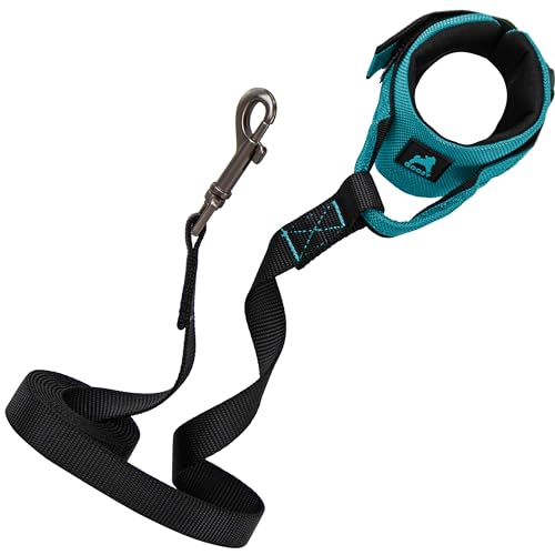 Gooby Easy Fit Handgelenkband Surferleine – Türkis, 1,8 m – bequeme freihändige Leine mit Gummiband für kleine, mittelgroße und große Hunde Gooby Easy Fit Handgelenkband Surferleine – Türkis, 1,8 m – bequeme freihändige Leine mit Gummiband für kleine, mittelgroße und große Hunde von GOOBY