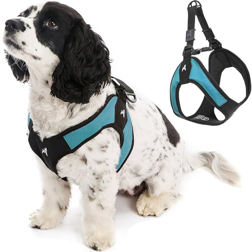 Gooby - Escape Free Easy Fit Harness, Small Dog Step-In Harness for Dogs That Like to Escape Their Harness, Turquoise, Large Gooby - Escape Free Easy Fit Harness, Small Dog Step-In Harness for Dogs That Like to Escape Their Harness, Turquoise, Large von GOOBY