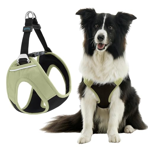 Gooby Escape Free Easy Fit Plus Geschirr – Portland Green, Größe XL – sicheres und ausbruchfreies Hundegeschirr für kleine Hunde und mittelgroße Hunde von GOOBY