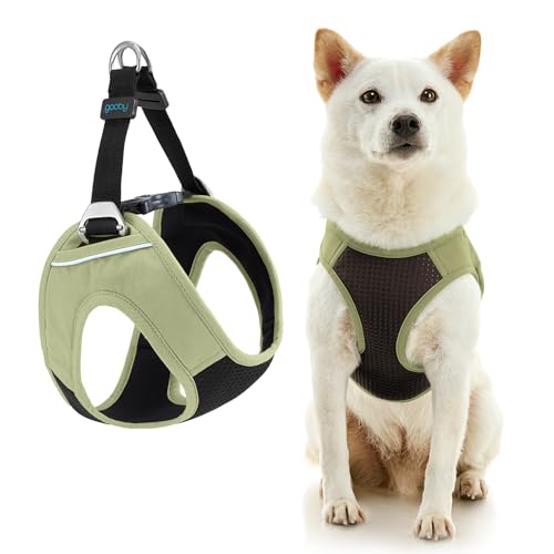 Gooby Escape Free Easy Fit Plus Hundegeschirr, Portlandgrün, Größe M, sicheres und ausbruchfreies Hundegeschirr für kleine Hunde und mittelgroße Hunde von GOOBY