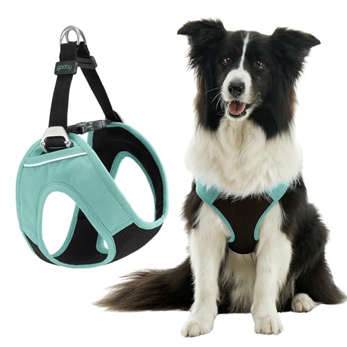Gooby Escape Free Easy Fit Plus Hundegeschirr, Seattle Blue, Größe L, sicheres und ausbruchfreies Hundegeschirr für kleine Hunde und mittelgroße Hunde von GOOBY