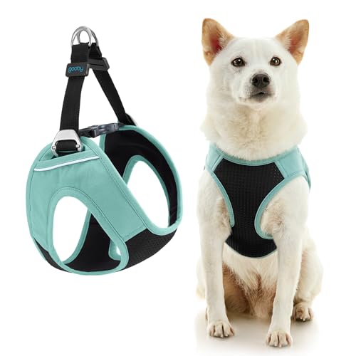 Gooby Escape Free Easy Fit Plus Hundegeschirr, Seattle Blue, Größe S, sicheres und ausbruchfreies Hundegeschirr für kleine Hunde und mittelgroße Hunde von GOOBY