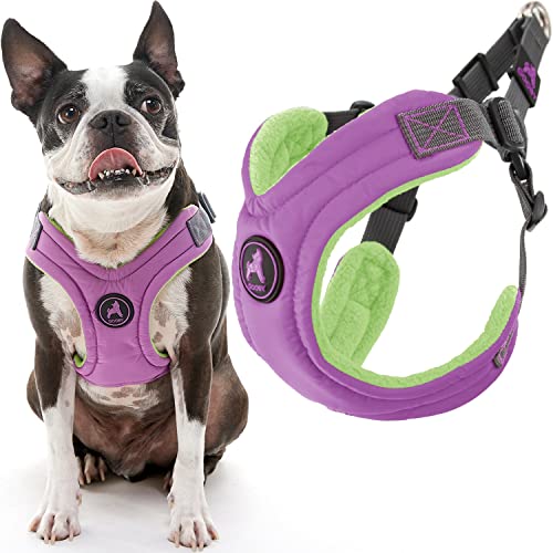 Gooby Escape Free Hundegeschirr aus Memory-Schaum, Größe S (33–43,7 cm), Violett von GOOBY