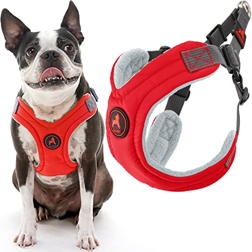 Gooby Escape Free Hundegeschirr, Memory-Schaum, Größe L (41,7–61 cm), Rot von GOOBY