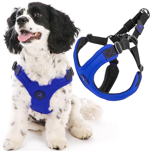 Gooby - Escape Free Sport Harness, Small Dog Step-In Neoprene Harness for Dogs That Like to Escape Their Harness, Blue, Medium von GOOBY