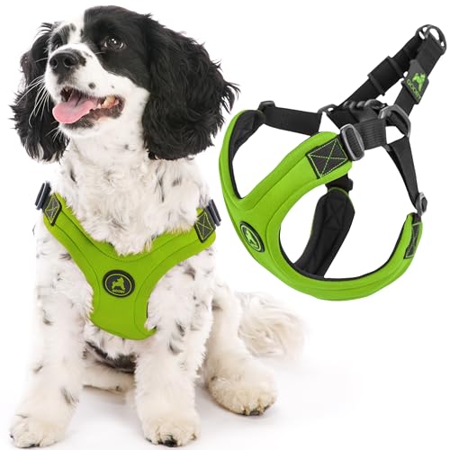Gooby - Escape Free Sport Harness, Small Dog Step-In Neoprene Harness for Dogs That Like to Escape Their Harness, Lime, Large von GOOBY