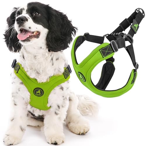 Gooby Escape Free Sportgeschirr – Limette, Größe L – kein Würgen, Step-in, patentiertes Neopren, kleines Hundegeschirr mit Vier-Punkt-Verstellung – perfekt für unterwegs, Hundegeschirr für mittelgroße Gooby Escape Free Sportgeschirr – Limette, Größe L – kein Würgen, Step-in, patentiertes Neopren, kleines Hundegeschirr mit Vier-Punkt-Verstellung – perfekt für unterwegs, Hundegeschirr für mittelgroße von GOOBY