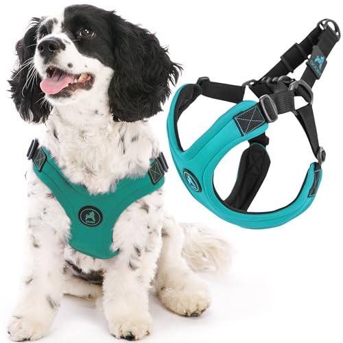 Gooby - Escape Free Sport Harness, Small Dog Step-In Neoprene Harness for Dogs That Like to Escape Their Harness, Turquoise, Medium Gooby - Escape Free Sport Harness, Small Dog Step-In Neoprene Harness for Dogs That Like to Escape Their Harness, Turquoise, Medium von GOOBY