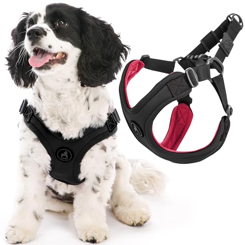 Gooby Escape Free Sportgeschirr – Schwarz, Klein, kein Würgen, Step-in, Neopren, Vier-Punkt-Verstellung, bequemes Hundegeschirr für kleine und mittelgroße Hunde, kein Ziehen, perfekt für unterwegs Gooby Escape Free Sportgeschirr – Schwarz, Klein, kein Würgen, Step-in, Neopren, Vier-Punkt-Verstellung, bequemes Hundegeschirr für kleine und mittelgroße Hunde, kein Ziehen, perfekt für unterwegs von GOOBY