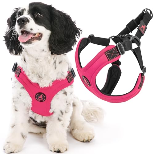 Gooby Escape Free Sportgeschirr, Rosa, Klein, kein Würgen, Step-in, Neopren, Vier-Punkt-Verstellung, bequemes Hundegeschirr für kleine und mittelgroße Hunde, kein Ziehen, perfekt für unterwegs Gooby Escape Free Sportgeschirr, Rosa, Klein, kein Würgen, Step-in, Neopren, Vier-Punkt-Verstellung, bequemes Hundegeschirr für kleine und mittelgroße Hunde, kein Ziehen, perfekt für unterwegs von GOOBY