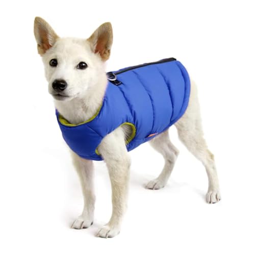 Gooby Gepolsterte Weste Hundejacke – solide blau, XS – warme Hundeweste mit Reißverschluss und Doppel-D-Ring-Leine – wasserabweisend, für kleine Hunde, Jungen und mittelgroße Hunde von GOOBY