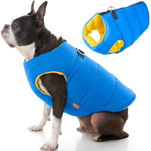Gooby Gepolsterte Weste Hundejacke – solide blau, XS – warme Hundeweste mit Reißverschluss und Doppel-D-Ring-Leine – wasserabweisend, für kleine Hunde, Jungen und mittelgroße Hunde von GOOBY