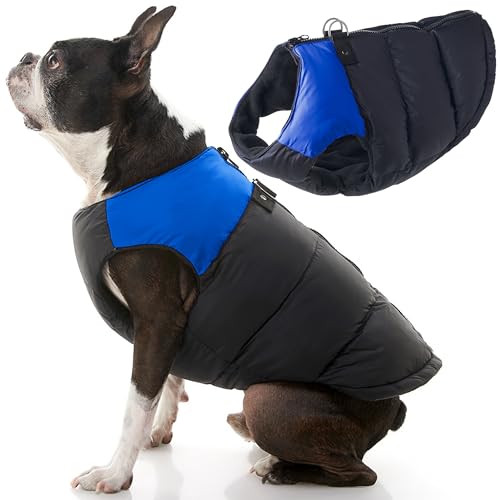 Gooby Gepolsterte Weste, Hundejacke, warm, mit Reißverschluss, Fleece-Jacke mit Doppel-D-Ring-Leine, wasserabweisend, für kleine Hunde und mittelgroße Hunde, Blau, Größe XL Gooby Gepolsterte Weste, Hundejacke, warm, mit Reißverschluss, Fleece-Jacke mit Doppel-D-Ring-Leine, wasserabweisend, für kleine Hunde und mittelgroße Hunde, Blau, Größe XL von GOOBY