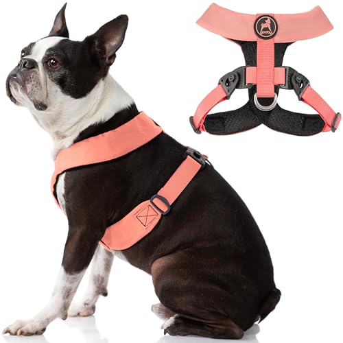 Gooby Hundegeschirr – Pink, Medium Comfort X Head-in kleines Hundegeschirr, Dual Snap Drehschnallen mit patentiertem Würgefreien X-Rahmen für mittelgroße Hunde ohne Ziehen und kleine von GOOBY