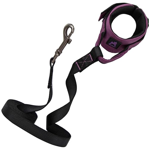 Gooby Hundeleine – lila, 1,8 m – einfach anzubringendes Armband Surfer-Leine, freihändige Hundeleine mit gepolstertem Griff – perfekt für unterwegs, Hundeleine für kleine, mittelgroße und große Hunde für den Innen- und Außenbereich Gooby Hundeleine – lila, 1,8 m – einfach anzubringendes Armband Surfer-Leine, freihändige Hundeleine mit gepolstertem Griff – perfekt für unterwegs, Hundeleine für kleine, mittelgroße und große Hunde für den Innen- und Außenbereich von GOOBY