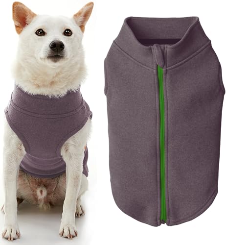 Gooby Hundepullover aus Mikrofaser-Fleece, mit Reißverschluss, Lila, Größe S, warm, doppellagig, weiches Mikrofaser-Fleece, Step-in-Hundejacke ohne Ringleine – Winter-Hundepullover für kleine Hunde Gooby Hundepullover aus Mikrofaser-Fleece, mit Reißverschluss, Lila, Größe S, warm, doppellagig, weiches Mikrofaser-Fleece, Step-in-Hundejacke ohne Ringleine – Winter-Hundepullover für kleine Hunde von GOOBY