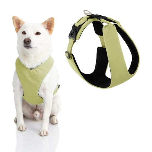 Gooby Lite Gear Z Hundegeschirr, flexibel, stoßdämpfend, mit leicht zu öffnenden Drehschnallen, kratzfest, für kleine Hunde und mittelgroße Hunde, Grün, Größe L von GOOBY