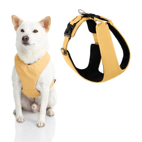 Gooby Lite Gear Z Hundegeschirr, flexibel, stoßdämpfend, mit leicht zu öffnenden Drehschnallen, kratzfestes Geschirr für kleine Hunde und mittelgroße Hunde, Gelb, Größe L von GOOBY