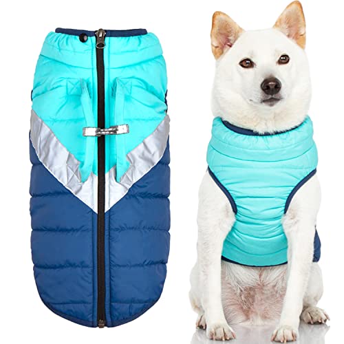 Gooby Mountaineer Hundejacke – Minze, groß – Warmer Mantel mit Reißverschluss und Hebegriff und Dual-O-Ring-Leine – Winter wasserabweisender kleiner Hundepullover – Hundekleidung für kleine Hunde und von GOOBY