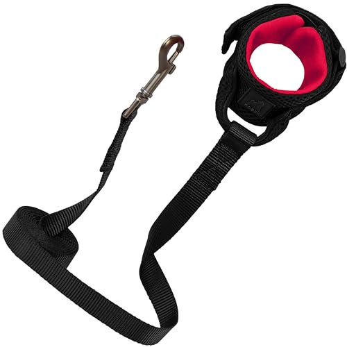 Gooby Surferleine aus weichem Netzgewebe, schwarz, 1,8 m, bequeme freihändige Leine mit elastischem Band für kleine, mittelgroße und große Hunde Gooby Surferleine aus weichem Netzgewebe, schwarz, 1,8 m, bequeme freihändige Leine mit elastischem Band für kleine, mittelgroße und große Hunde von GOOBY