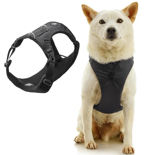 Gooby Trailblazer Hundegeschirr, stoßdämpfend, ohne Zug vorne und zwei Rückenclips für kleine Hunde und mittelgroße Hunde, Schwarz, Größe M von GOOBY