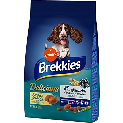 BREKKIES Delicious Hundefutter für ausgewachsene Hunde mit Lachs, Gemüse und Getreide, Beutel 7,250 kg von GOOD4YOU