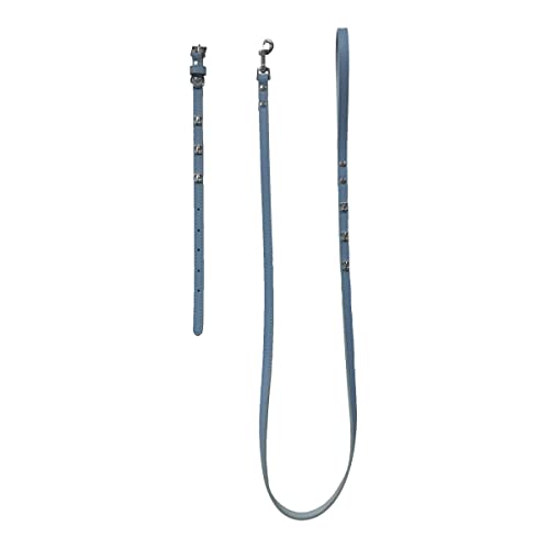 Fred&Rita Hundehalsband, 2,5 x 51 - 61 cm + Leine 1,5 x 120 cm, Blau von GOOD4YOU