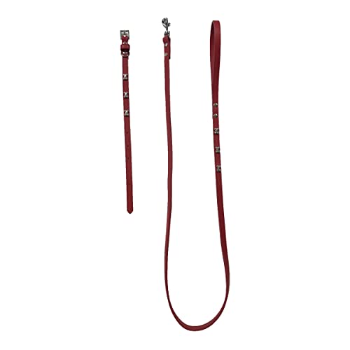 Fred&Rita Hundehalsband, 2,5 x 51 - 61 cm + Leine 1,5 x 120 cm, Rot von GOOD4YOU