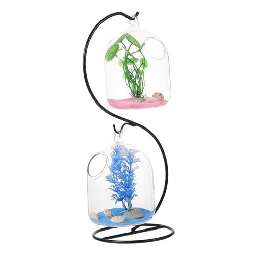 GOOHOCHY 1 Satz Hängendes Aquarium Aus Glas Terrarienschale Montierter Blasentank Saftiger Betta-behälter Aus Glas Aquariumschale Aus Glas Fischglasvase Eisen Betta Fisch Goldfischglas von GOOHOCHY